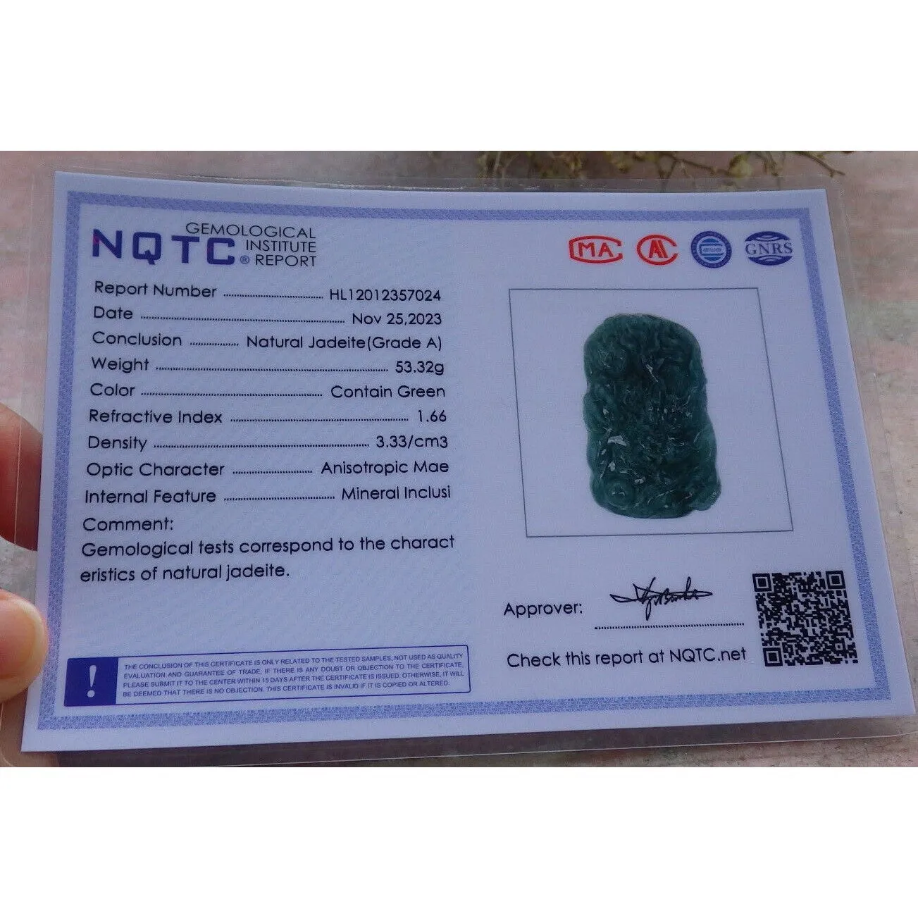 Certified Green Burma Natural A Jade Jadeite Pendant Dragon Necklace
