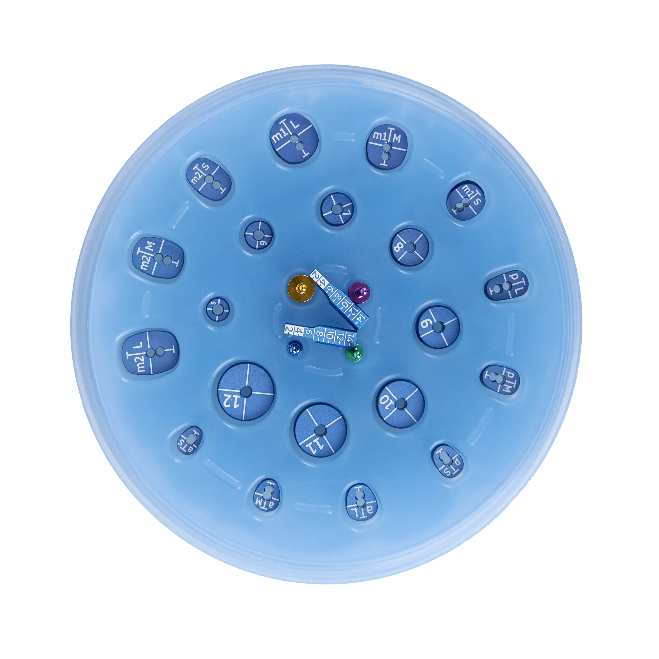 Cervico Premium Kit