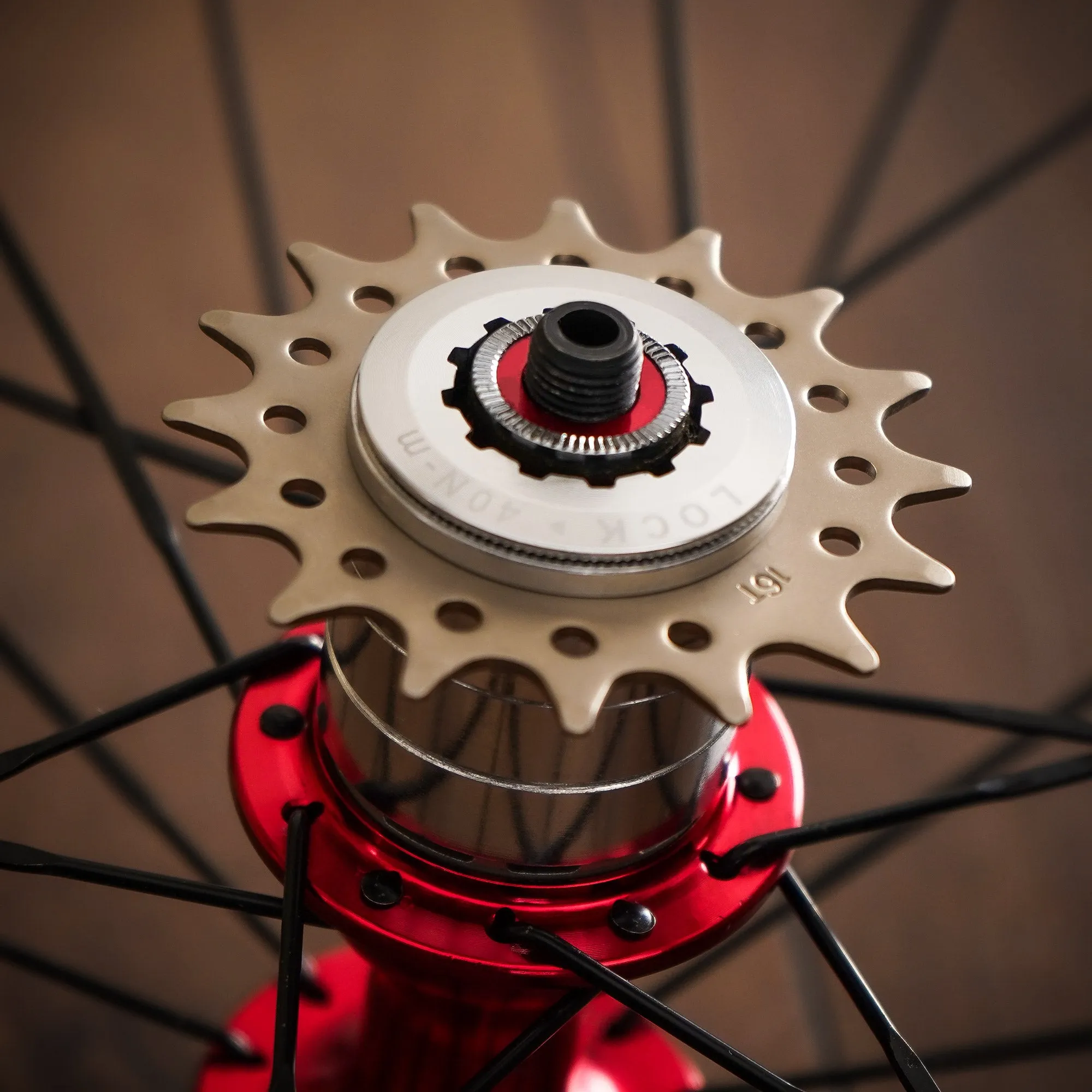 CyclingDeal Conversion Kit Fixie Bike Single Speed Compatible with Shimano Sram Cassette Freewheel Hub Adaptor - For Mountain and Road Bike Gear Cog Spacers - 13 Teeth