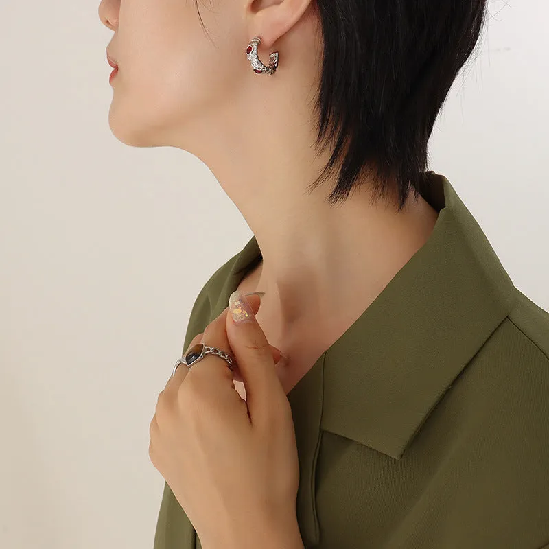 Exaggerated Ins Wind Titanium Earrings with Zircon Detail