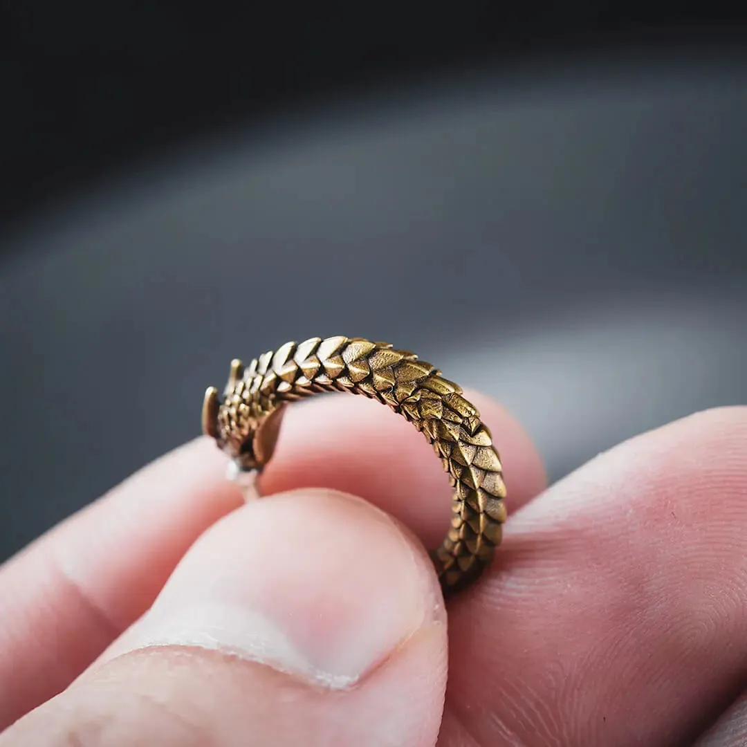 Ouroboros Earrings