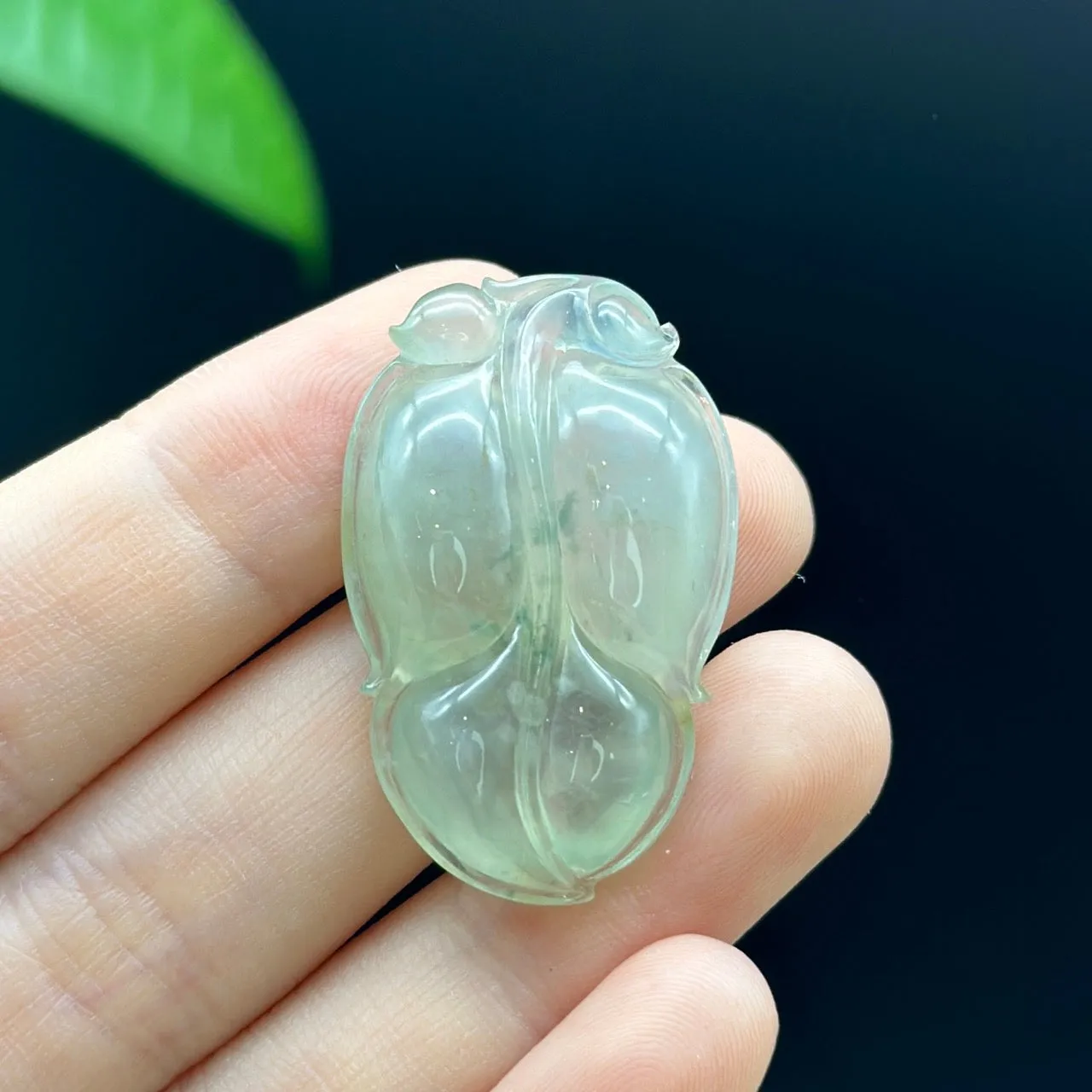 RealJade® Co. Genuine Ice Jadeite Jade Jin Zhi Yu Ye (Leaf) Necklace