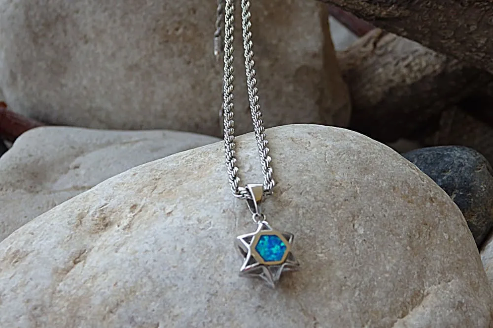 Shield of David Necklace
