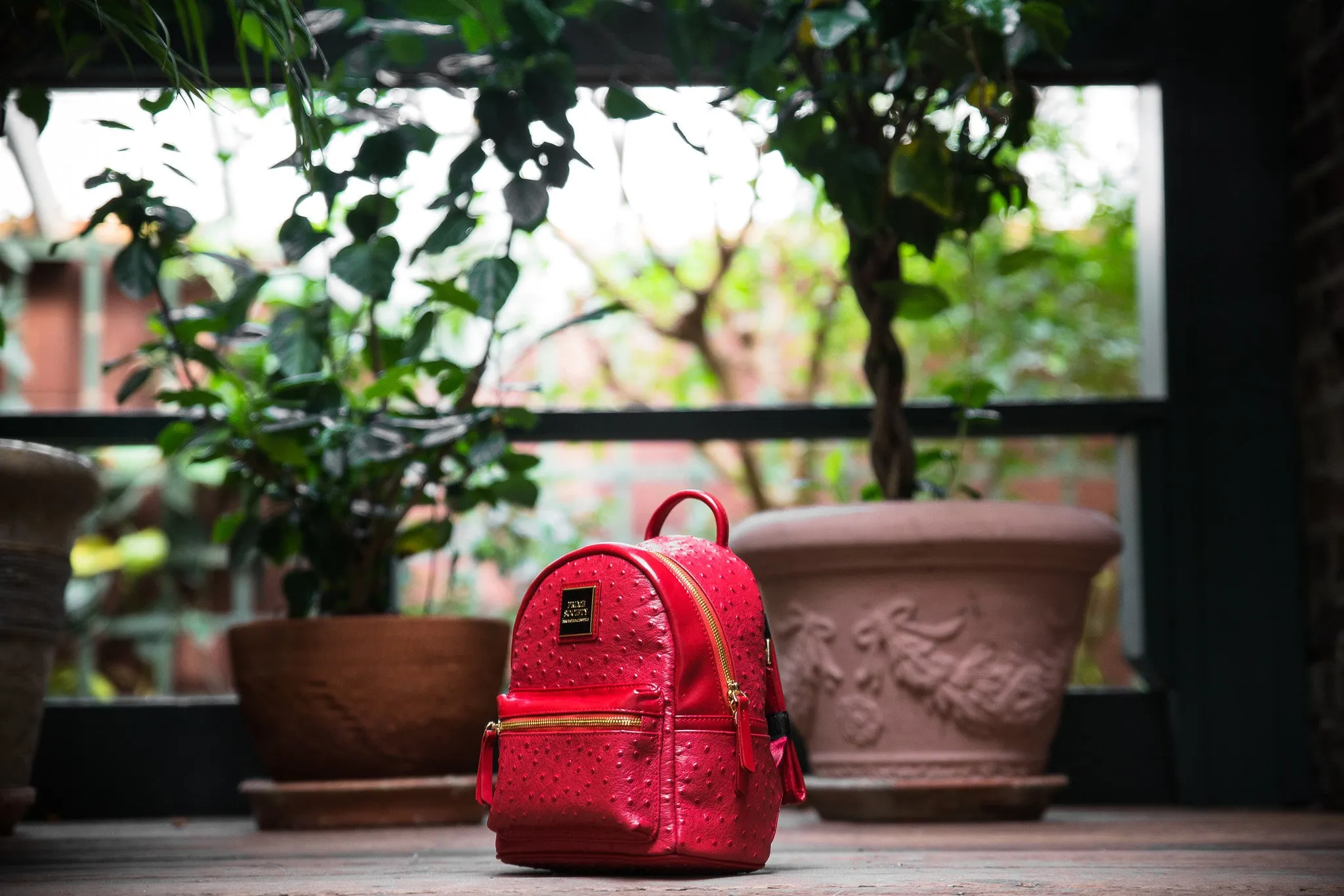 The Crown Collection (Mini) Red Backpack